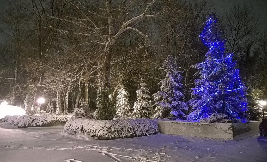 Villa Forest Beograd Bagian luar foto