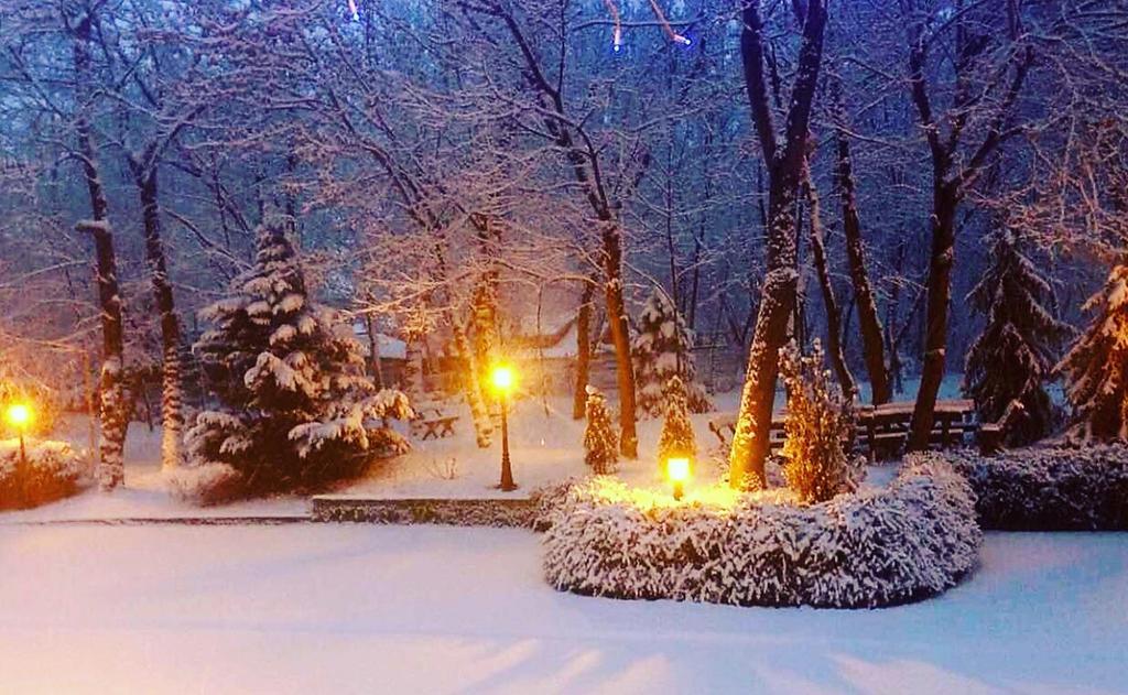 Villa Forest Beograd Bagian luar foto